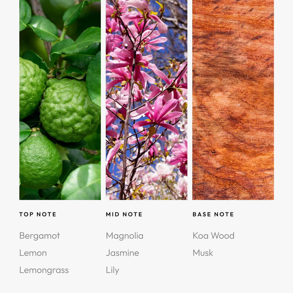 Aroma360 long-lasting aroma diffuser in operation, delivering sustained fragrance throughout the day.