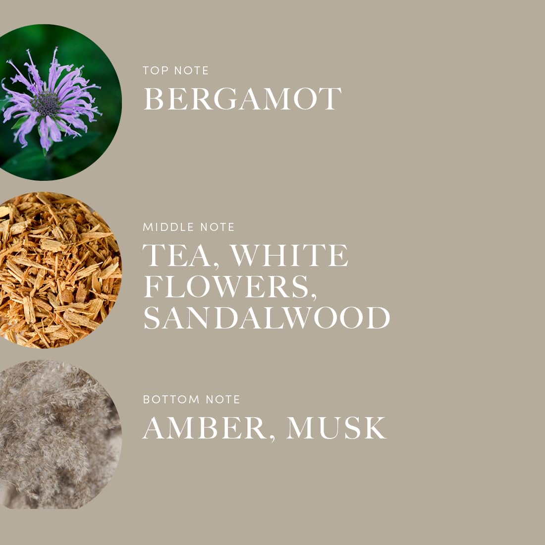 Notes display: white tea, jasmine, peony, gardenia