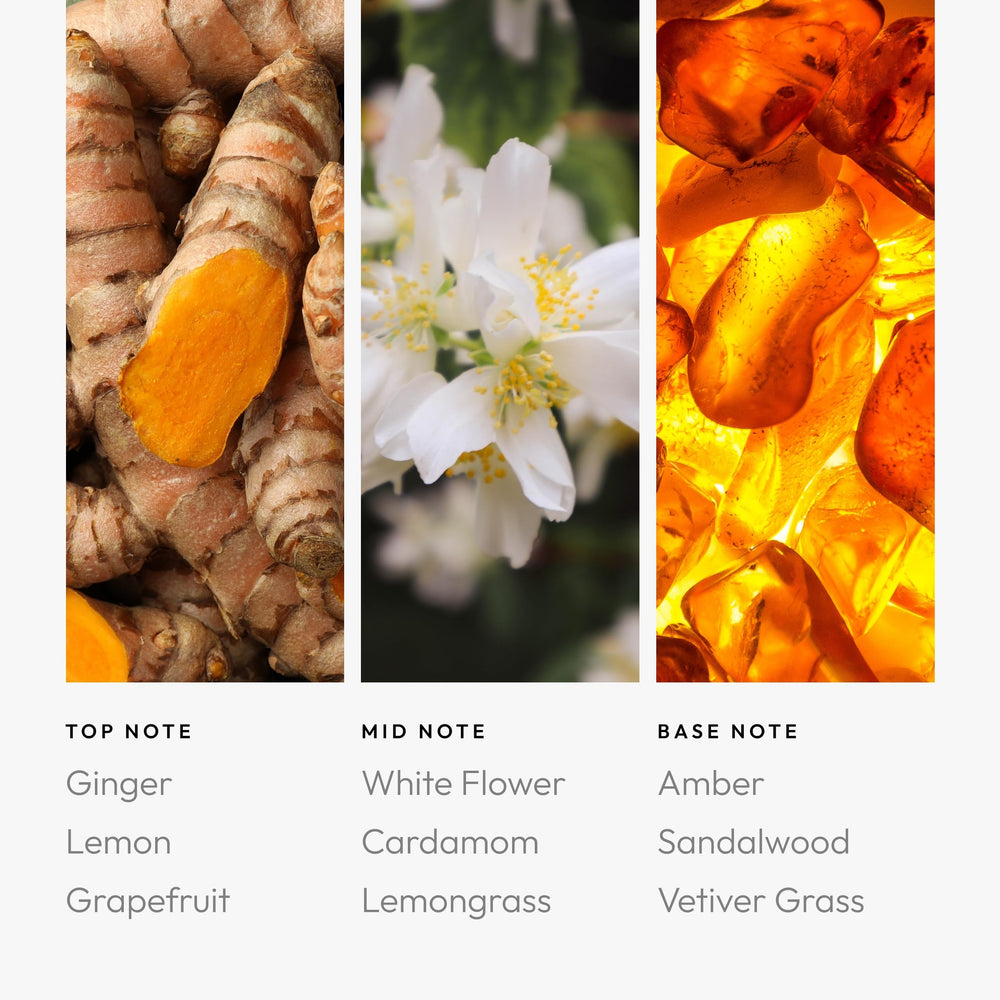 Aroma360 Pro Pod Aquarius Diffuser Bottle image showing easy refill and elegant design