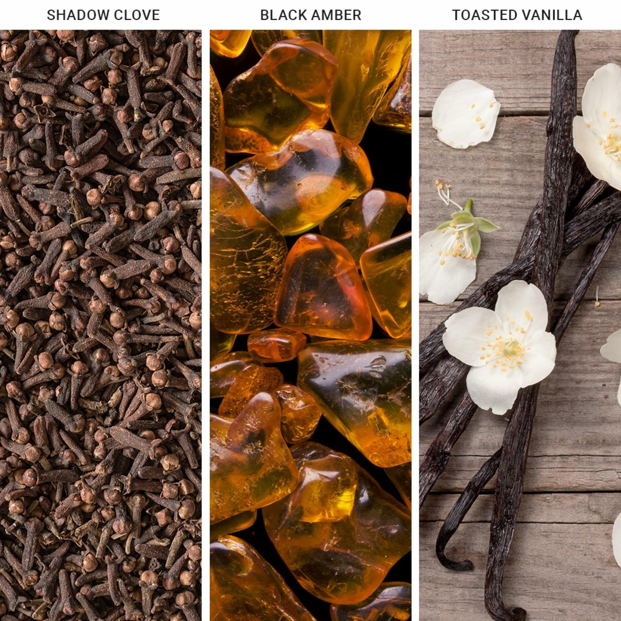 Aroma360 Star Wars The Force packaging box signals gift-ready presentation