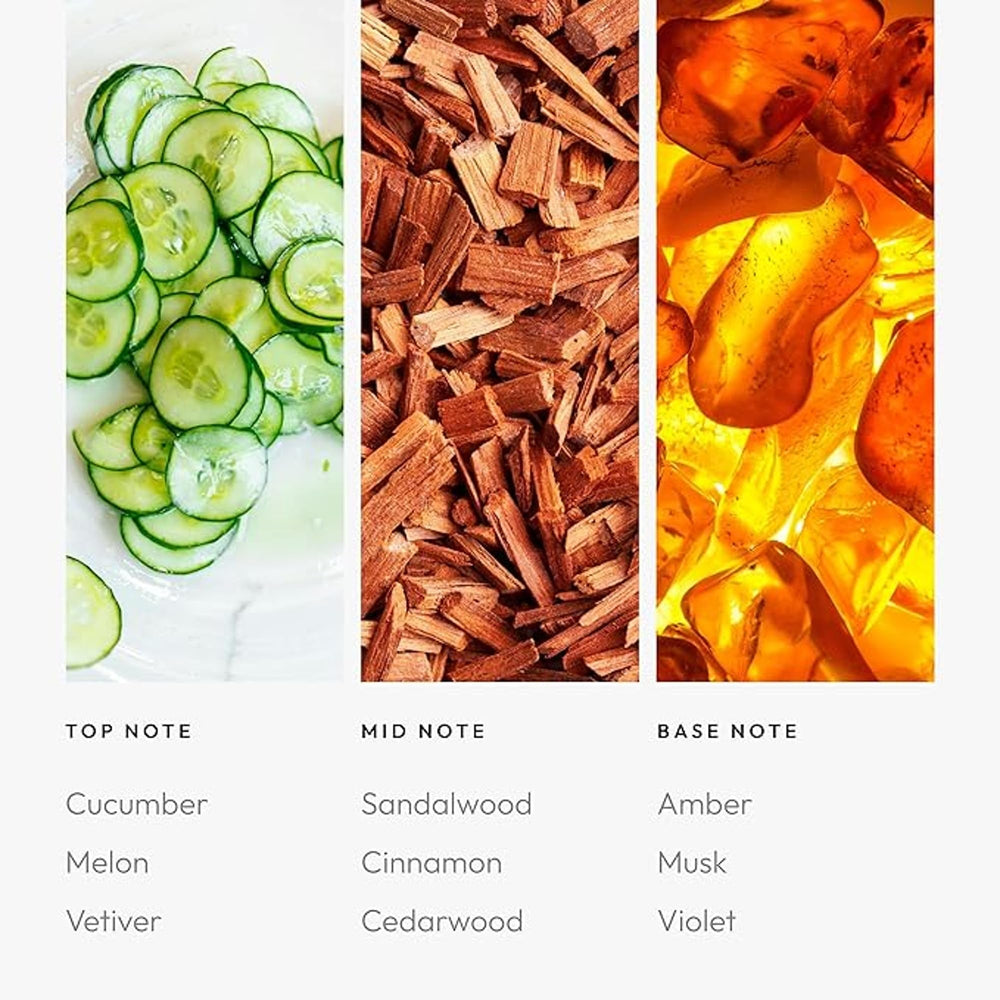 Summer Breeze fragrance oil bottle with packaging and cap