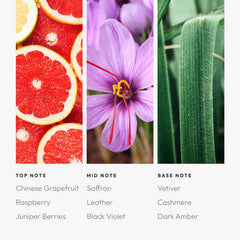 Aroma360 Taurus Pro-Pod saffron vetiver blend image emphasizing luxury ambiance.