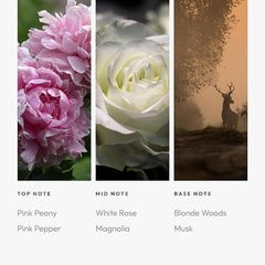 Base notes of blonde woods and musk in Aroma360 Timeless