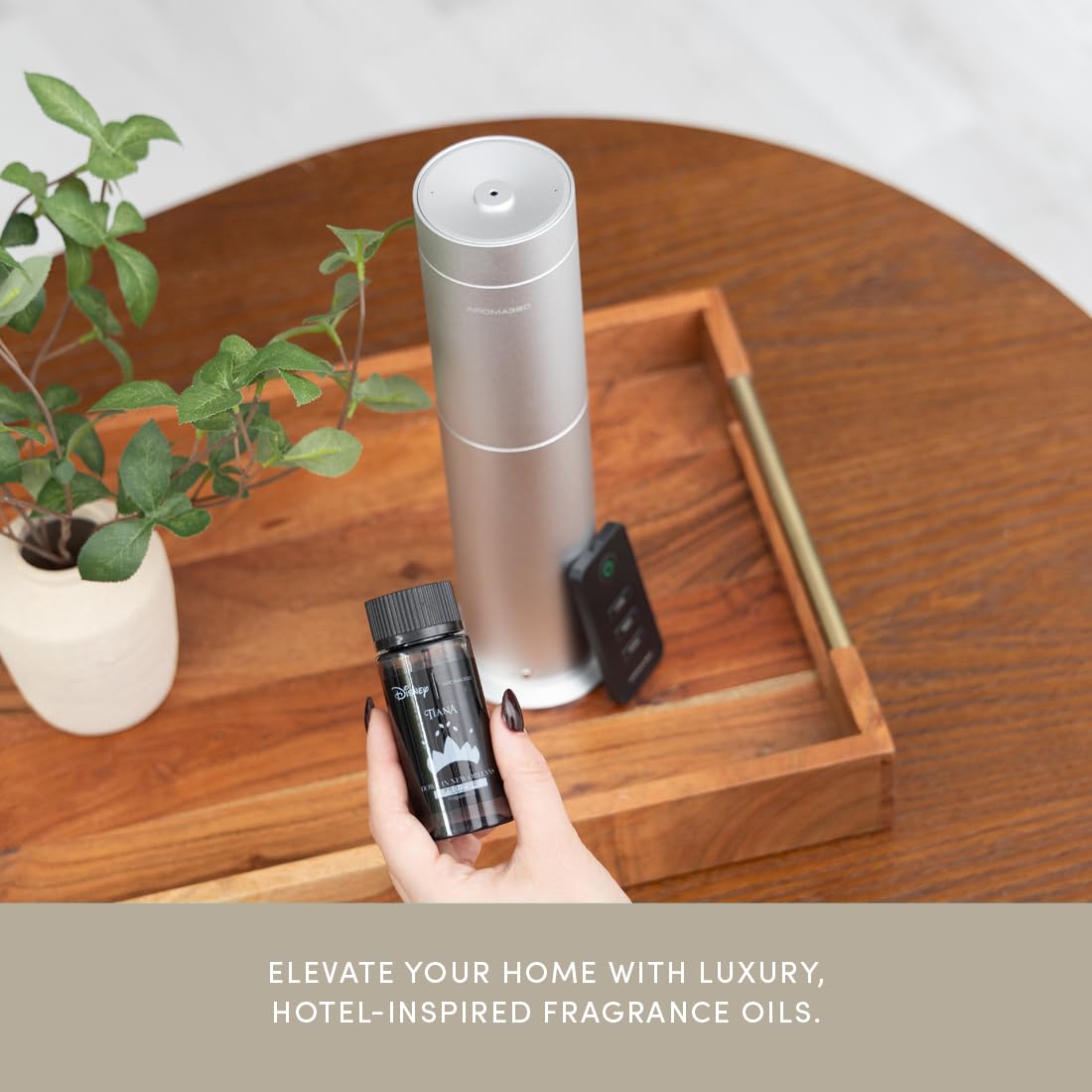 Top notes of Coconut, Bergamot, and Valencia Orange