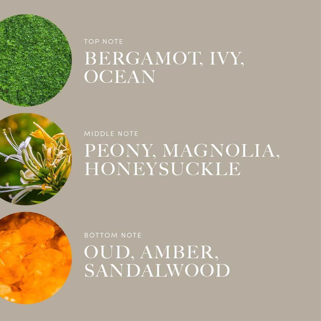 Under The Sea top notes Bergamot Ivy Ocean