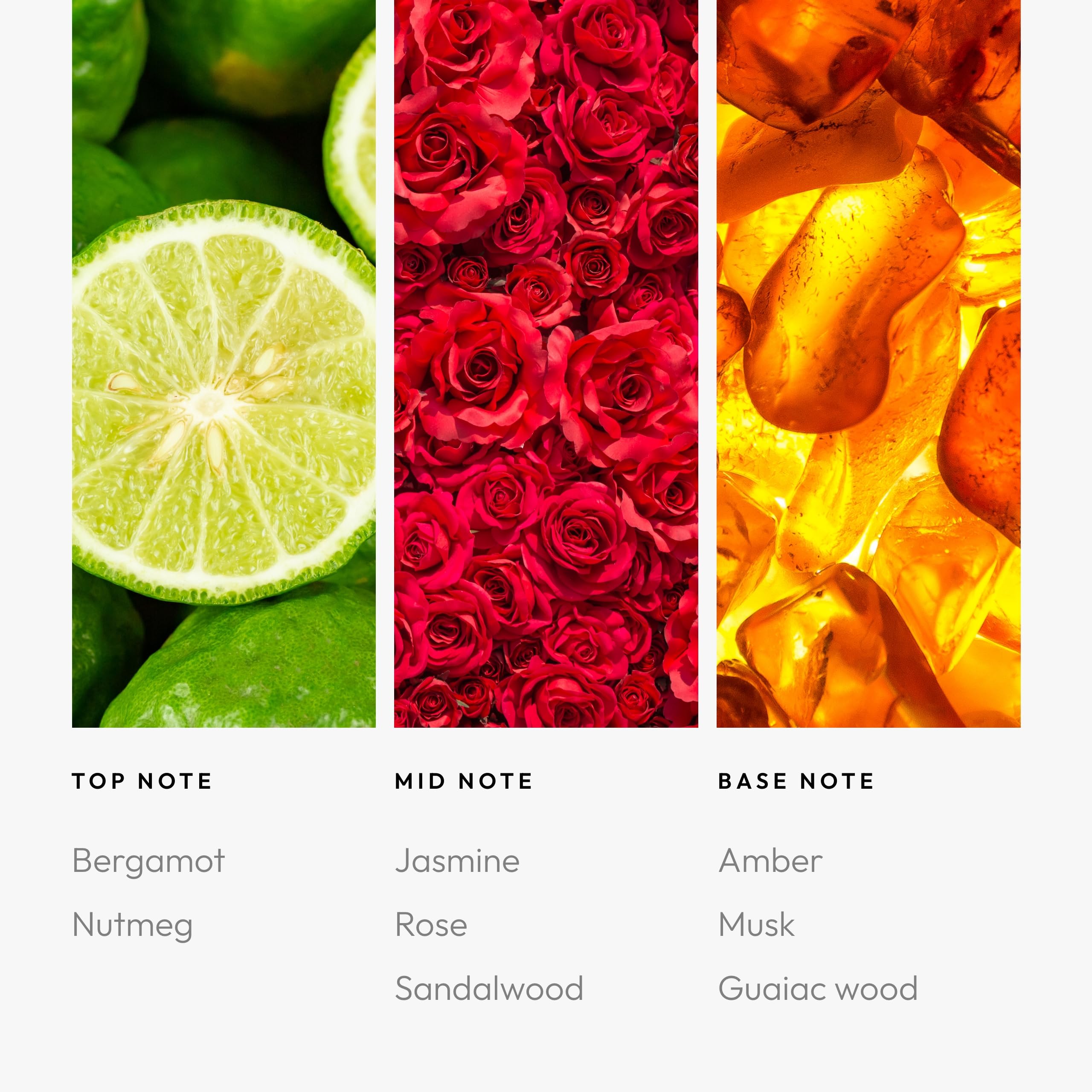 Sassy Petals middle notes Jasmine, Rose and Sandalwood