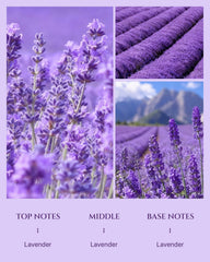 Aromadd Lavender Diffuser Oil bottle with lavender sprigs, evoking spa calm.