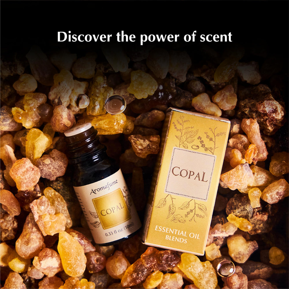 Aromafume heritage and artisanal blending since 1907