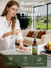Tea tree oil scalp and hair benefits