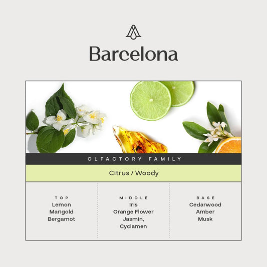 Close-up of lemon and bergamot notes for AromaPlan diffuser oil