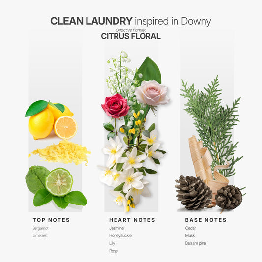 Close-up of AromaPlan Clean Laundry fragrance bottle