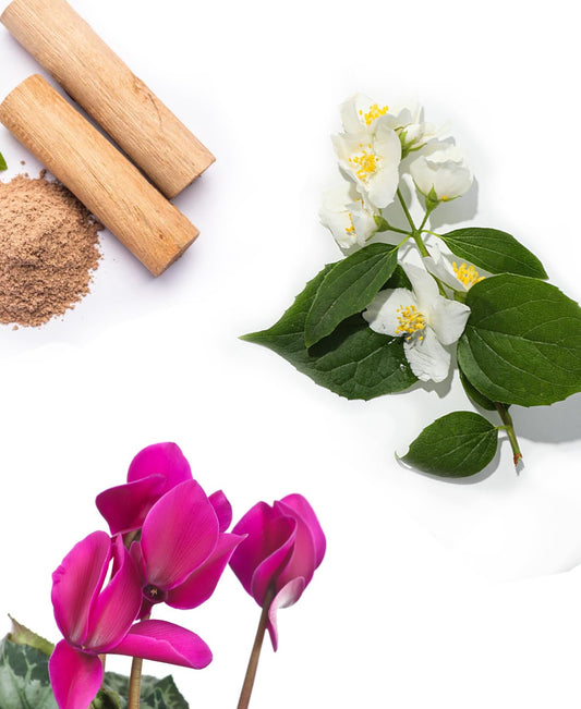Diffuser setup with AromaPlan Cloud oil