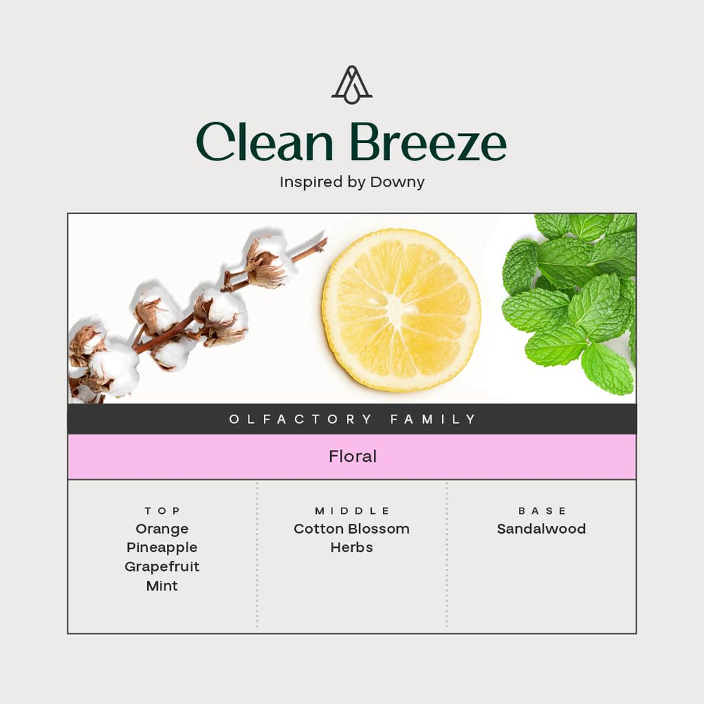 AromaPlan gift set presentation and packaging image