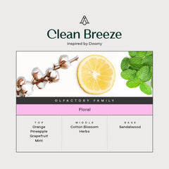 AromaPlan gift set presentation and packaging image