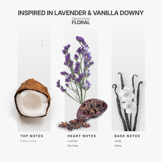 Close-up of AromaPlan Lavender & Vanilla Downy fragrance oil bottle
