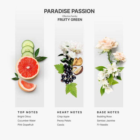 Vibrant tropical fragrance journey artwork for Paradise Passion