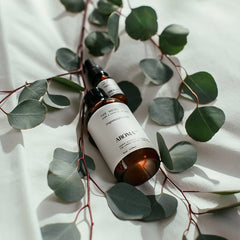 Peach, Red Rose and Pine notes artwork from the set