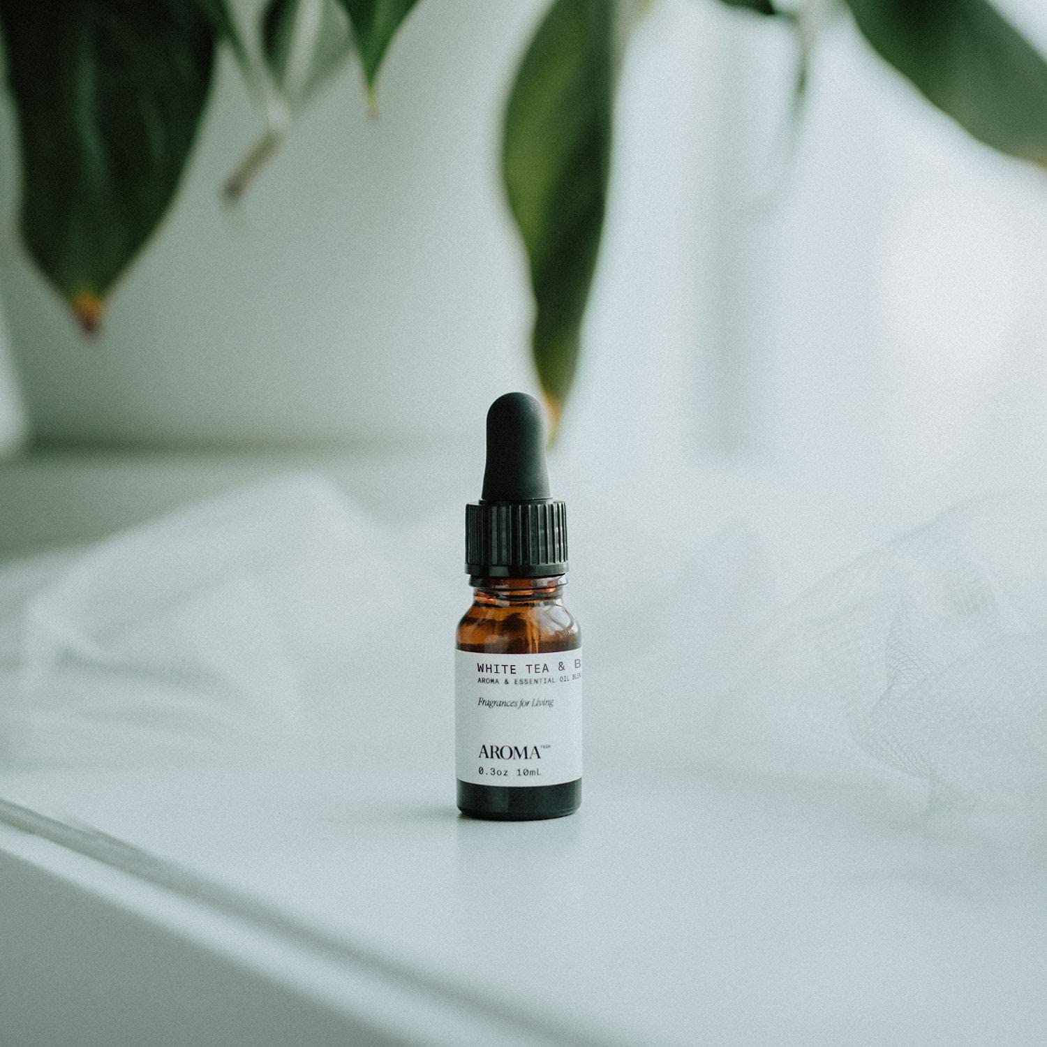 Gift-ready White Tea & Bamboo aroma oil for home fragrance