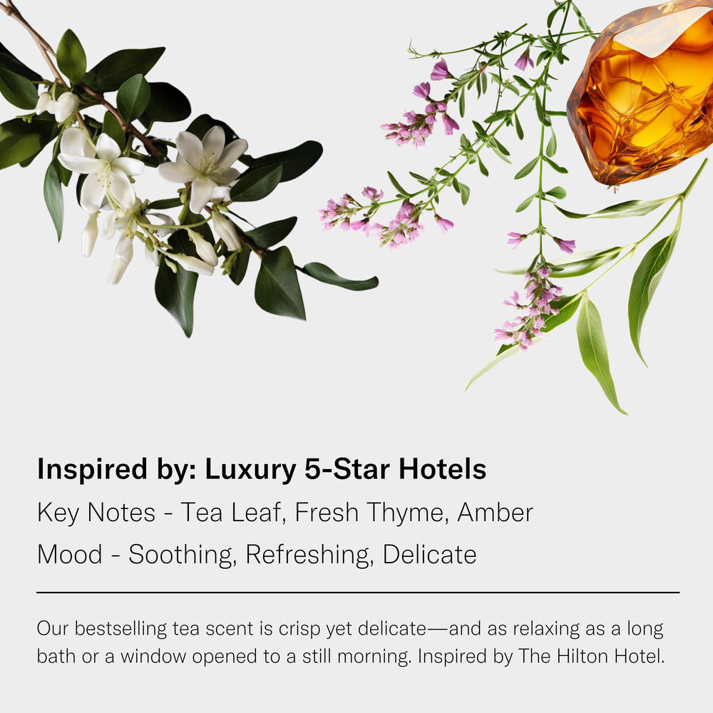 Close-up of White Tea & Thyme scent notes: Tea Leaf, Fresh Thyme, Amber