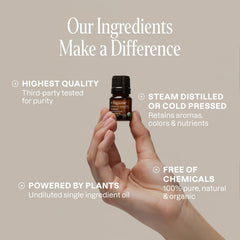 Aromatherapy diffuser using lavender essential oil