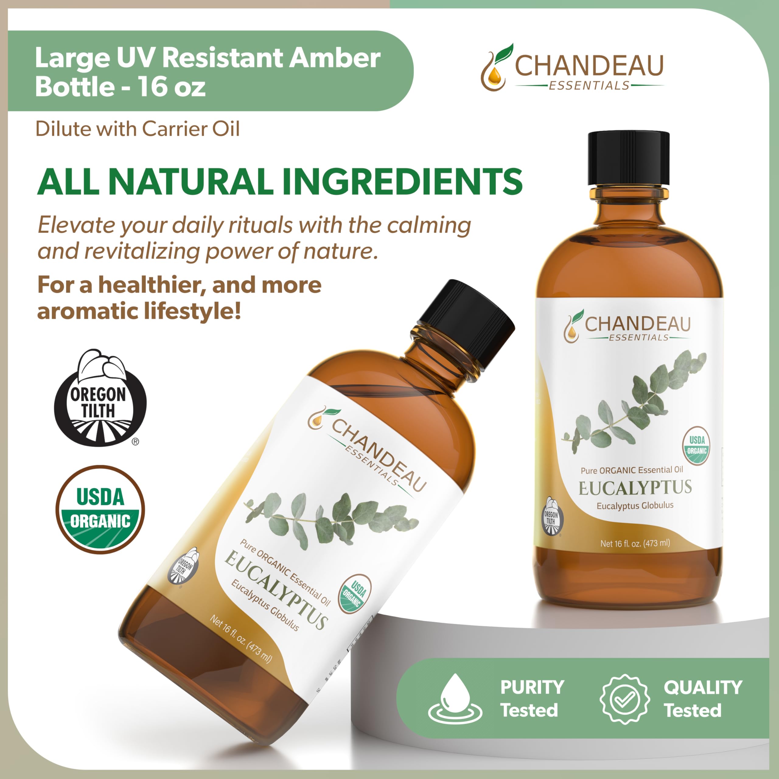 Aromatherapy diffuser releasing eucalyptus scent