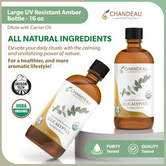 Aromatherapy diffuser releasing eucalyptus scent