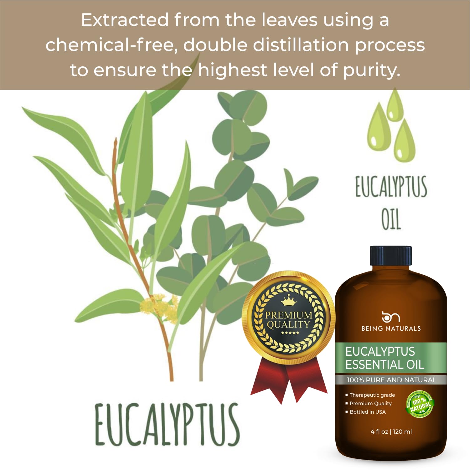 Eucalyptus oil used in aromatherapy diffuser