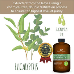 Eucalyptus oil used in aromatherapy diffuser