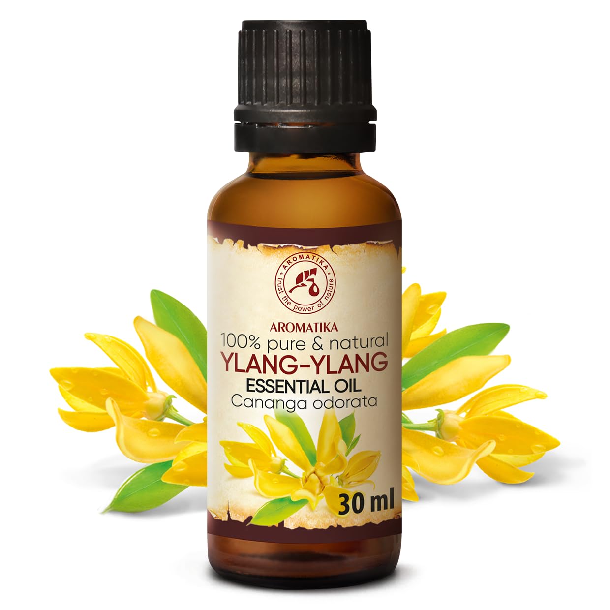 AROMATIKA Ylang Ylang oil diffuser in a calm space for relaxation.