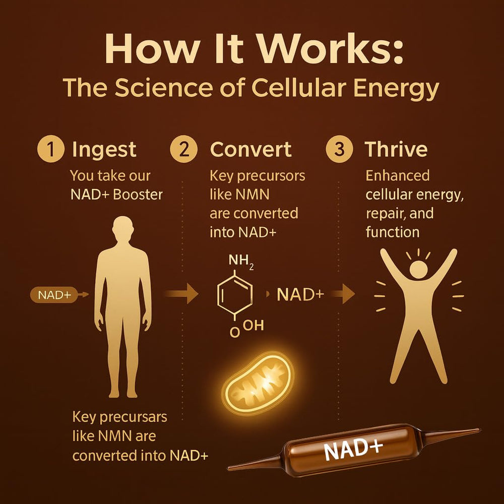 ARSYCHLL NAD Advanced Cellular Renewal vial dispense shows easy dose on the go.