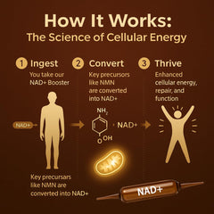 ARSYCHLL NAD Advanced Cellular Renewal vial dispense shows easy dose on the go.