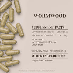 Artemisia Absinthium dried wormwood herb used in capsules
