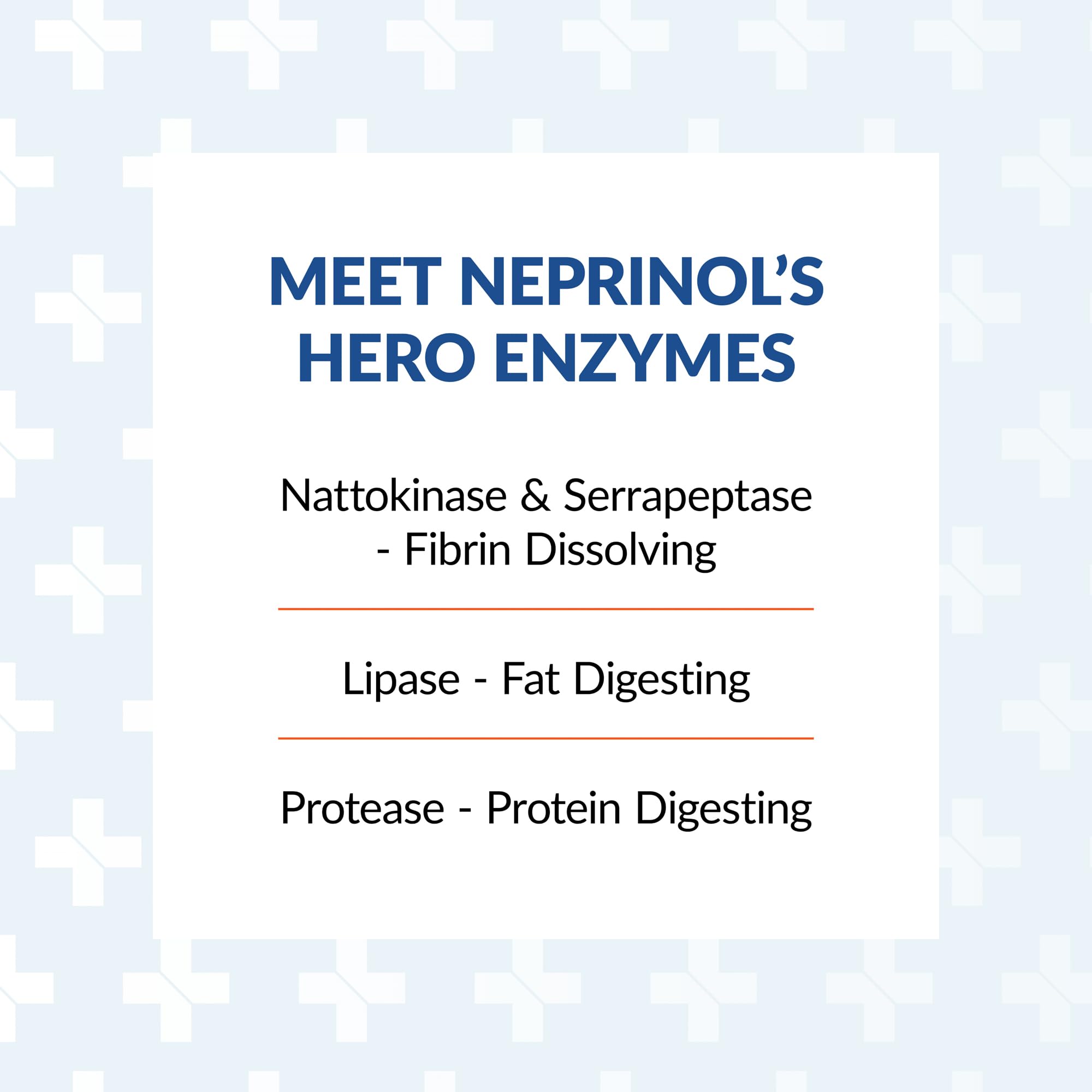 Neprinol AFD capsules in hand for daily supplementation.