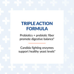 Syntol therapeutic grade enzymes illustration for gut support