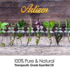 Close-up of essential oils: rosemary, tea tree, eucalyptus, lavender
