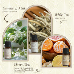 ARVIDSSON Citrus Bliss diffuser oil – bright, zesty aroma