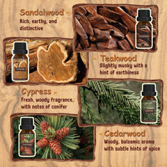 Cedarwood and Sandalwood oils within ARVIDSSON woody set