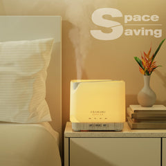 Diffuser mist modes and adjustable settings