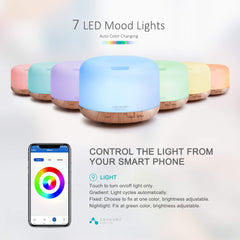 ASAKUKI Smart Wi-Fi Diffuser gold top view