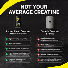 Unflavored creatine monohydrate powder with scoop