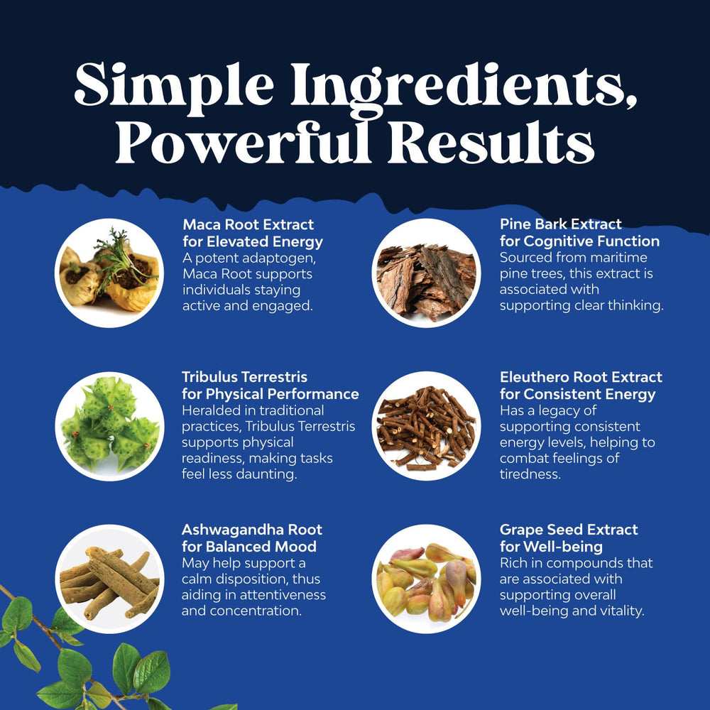 Ashwagandha and Siberian Ginseng ingredients