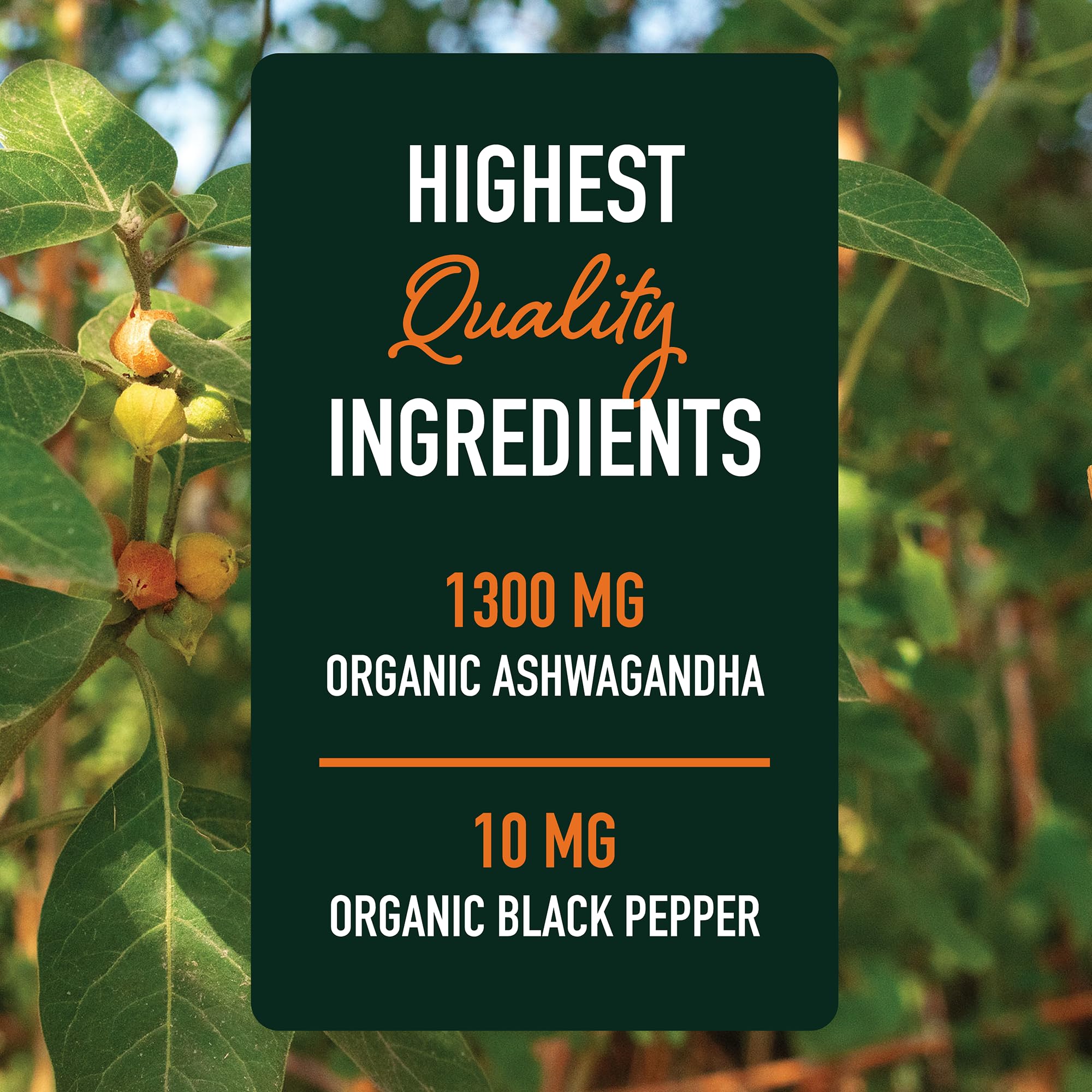 Two-month supply packaging of ashwagandha supplement