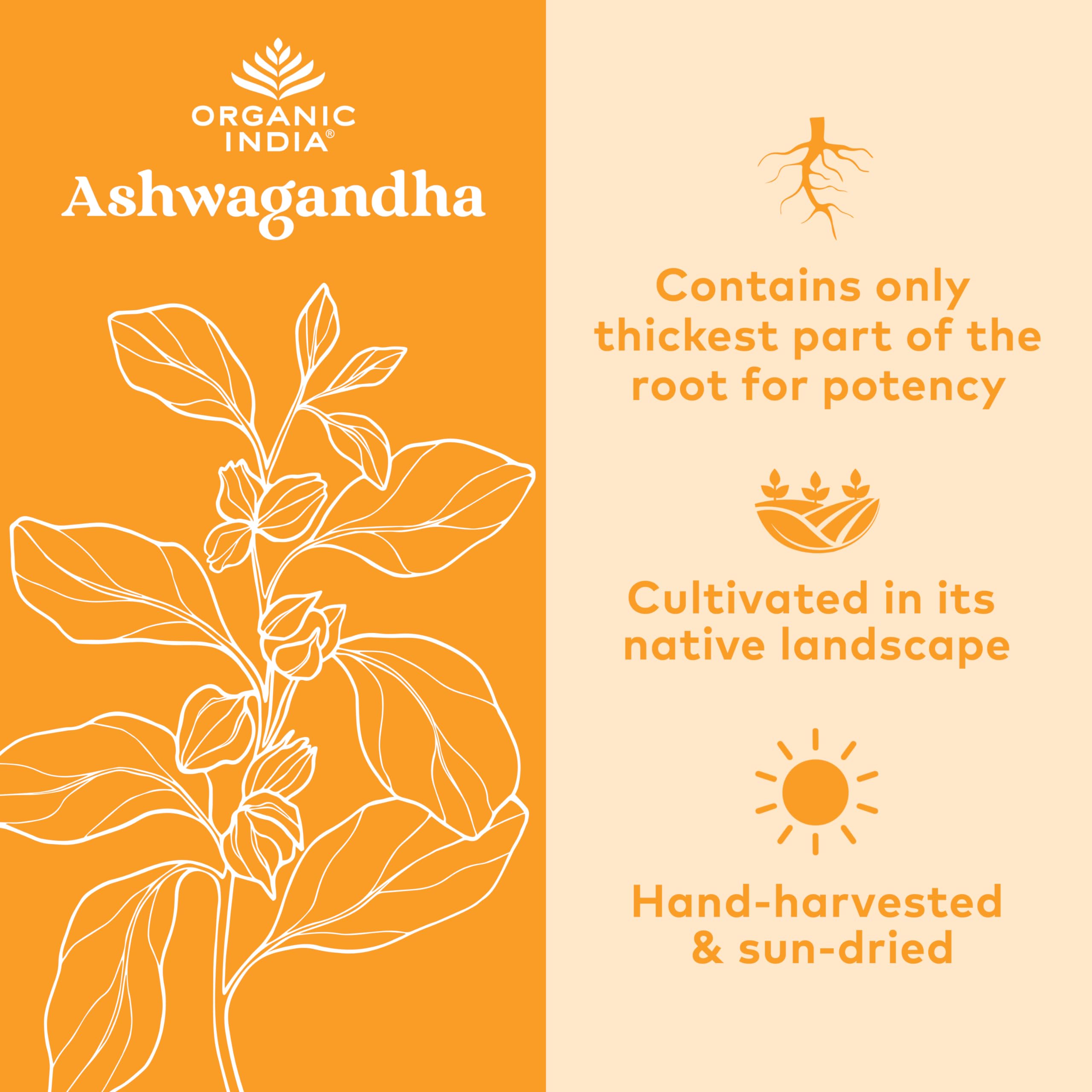 Lifestyle image highlighting Ashwagandha for energy and vitality