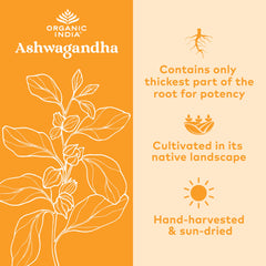 Lifestyle image highlighting Ashwagandha for energy and vitality