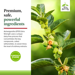 Close-up of 60 capsules of Ashwagandha EP35