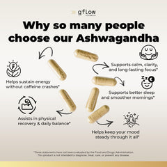 20x concentrated Ashwagandha extract illustration