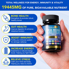 Ashwagandha, Ginger and Turmeric Capsules close-up