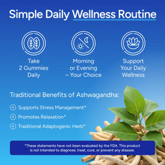 Ingredients label for Ashwagandha Gummies