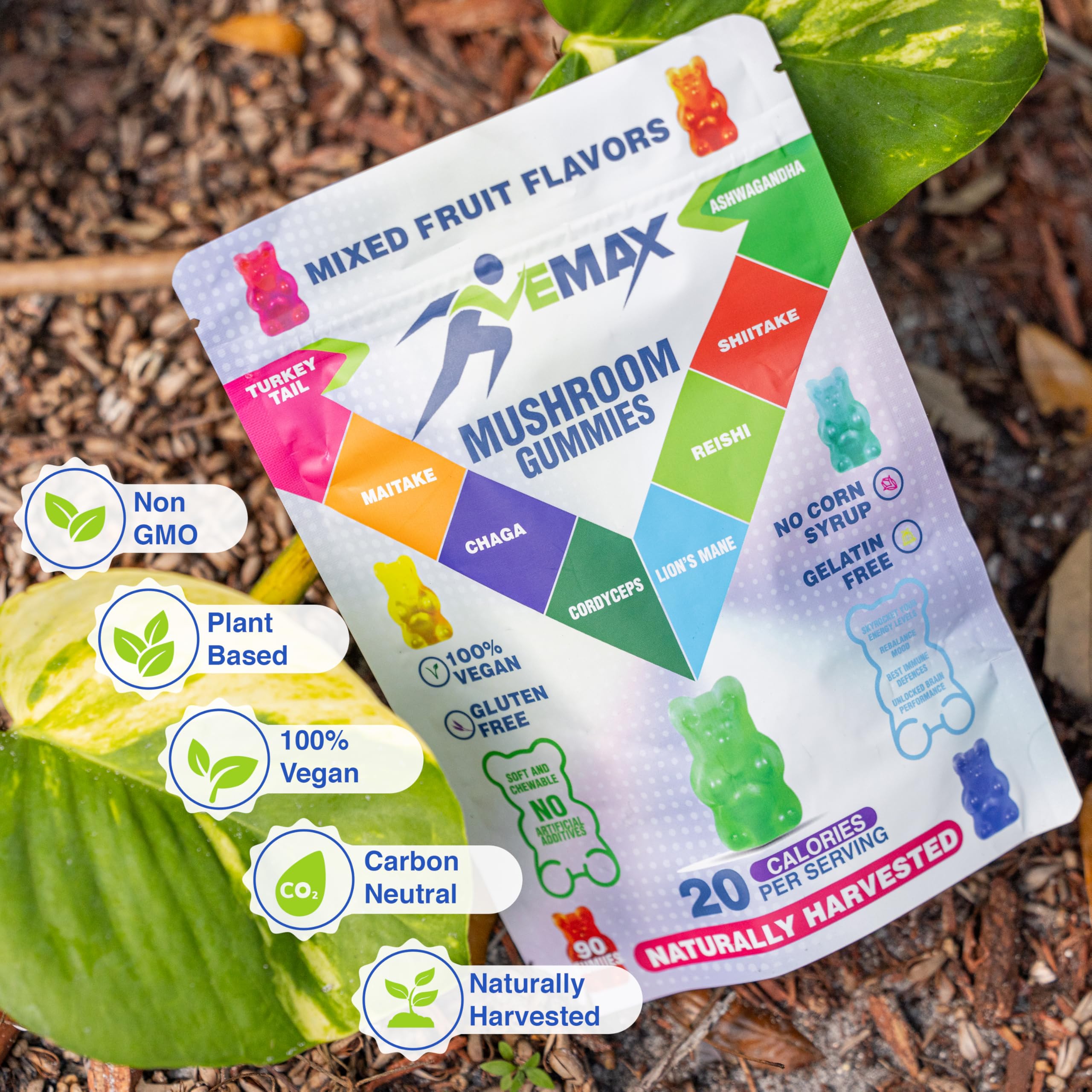 Back of packaging highlighting mushroom blend with Ashwagandha