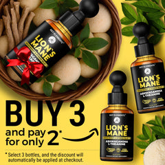 Ashwagandha and L-Theanine ingredients